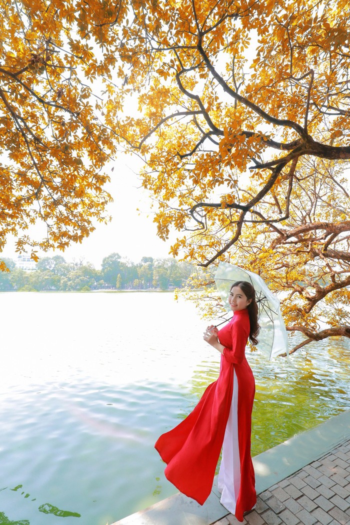 Địa điểm chụp ảnh Tết 2025 tuyệt đẹp chào đón xuân Ất Tỵ