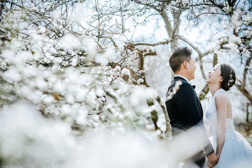 Bí quyết chọn địa điểm Du lịch chụp ảnh cưới 2026 cực đẹp